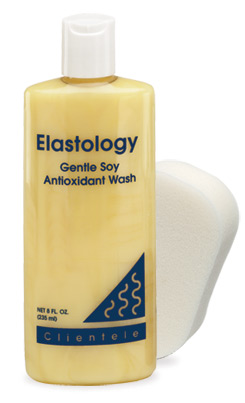 Gentle Soy Antioxidant Wash 8.0oz